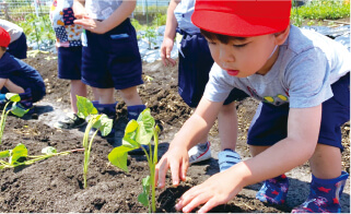 菜園通信